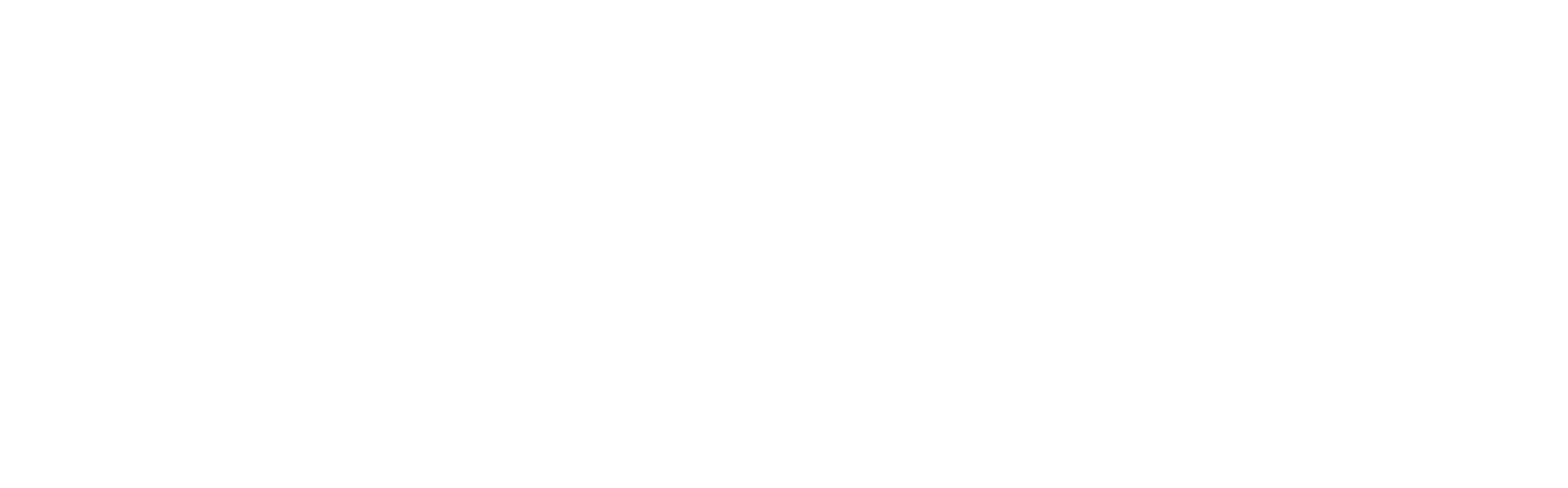 Logo de Natanael Rossignol